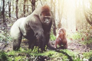 gorilla, Girl, Monkey, Forest, Situation, Girls, Humor, Funny, Cute