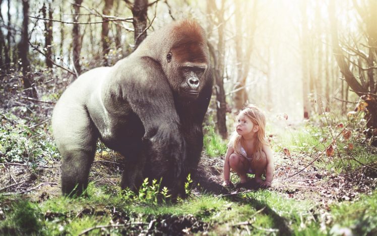 gorilla, Girl, Monkey, Forest, Situation, Girls, Humor, Funny, Cute HD Wallpaper Desktop Background