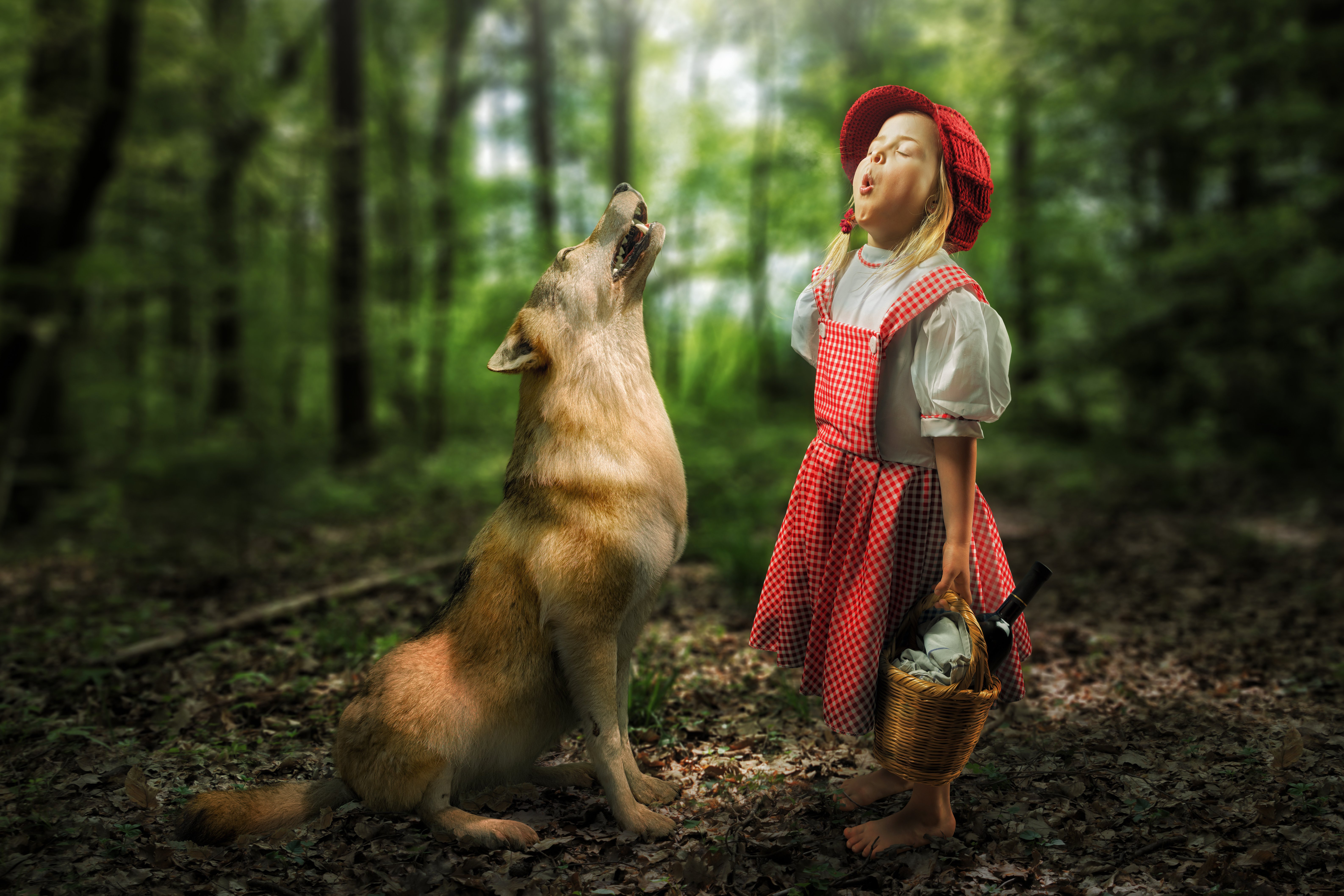 funny, Humor, Art, Artwork, Photoshop, Manipulation, Fantasy, Photo