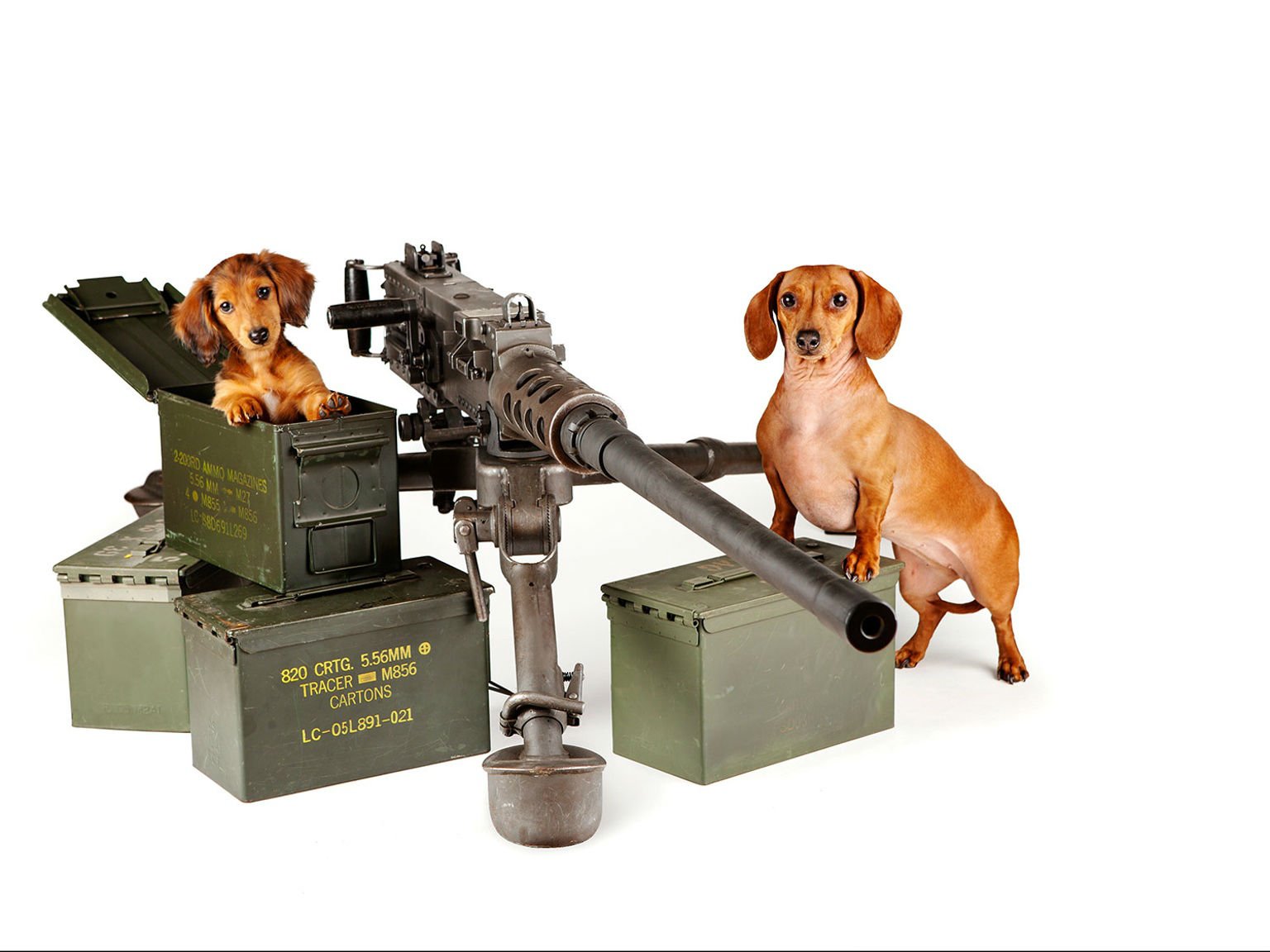 gun, Weapon, Guns, Weapons, Military, Machine, Gun, Assault, Rifle, Police, Swat Wallpaper