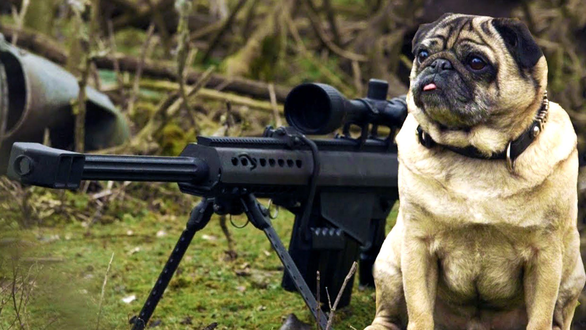 gun, Weapon, Guns, Weapons, Rifle, Military, Machine, Assault, Police, Swat, Sniper Wallpaper