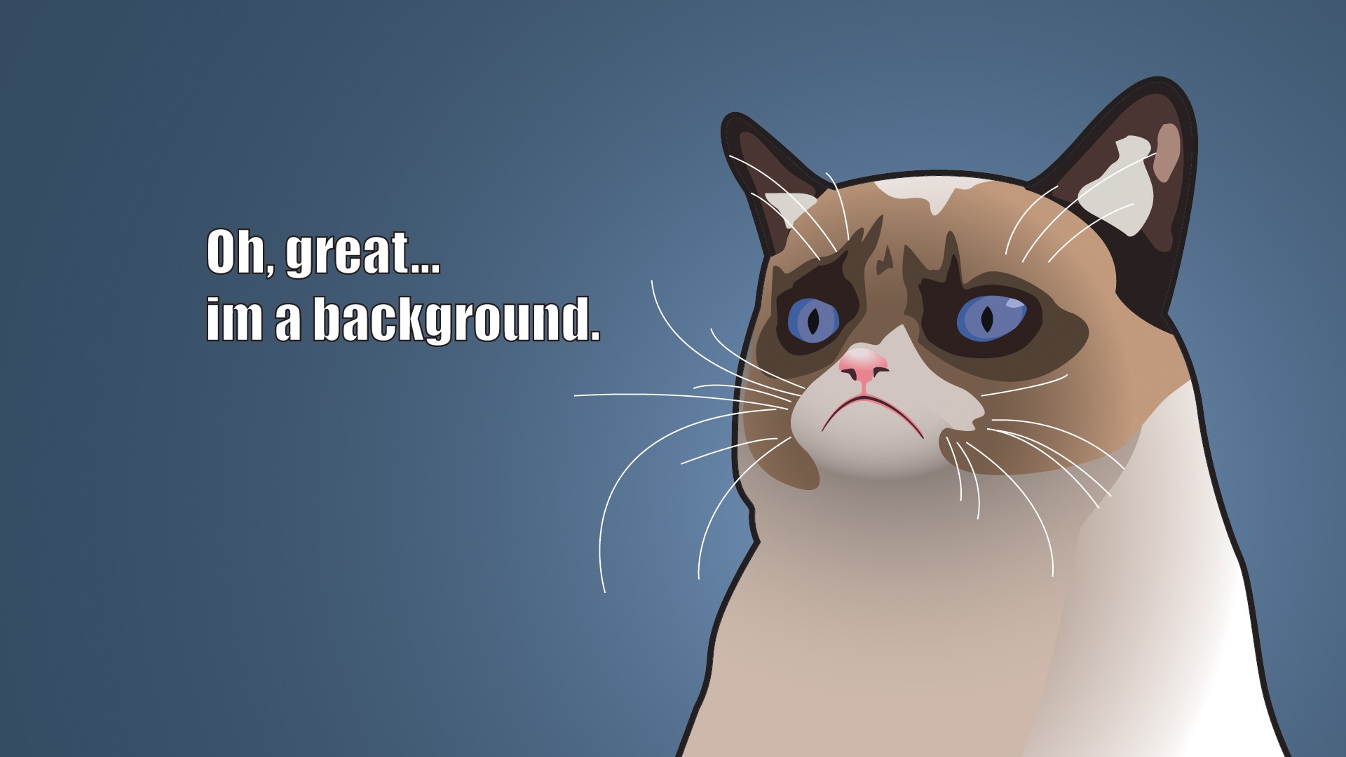 grumpy, Cat, Meme, Pictures, Humor, Funny, Cats Wallpaper