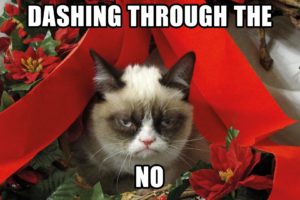 grumpy, Cat, Meme, Pictures, Humor, Funny, Cats, Christmas