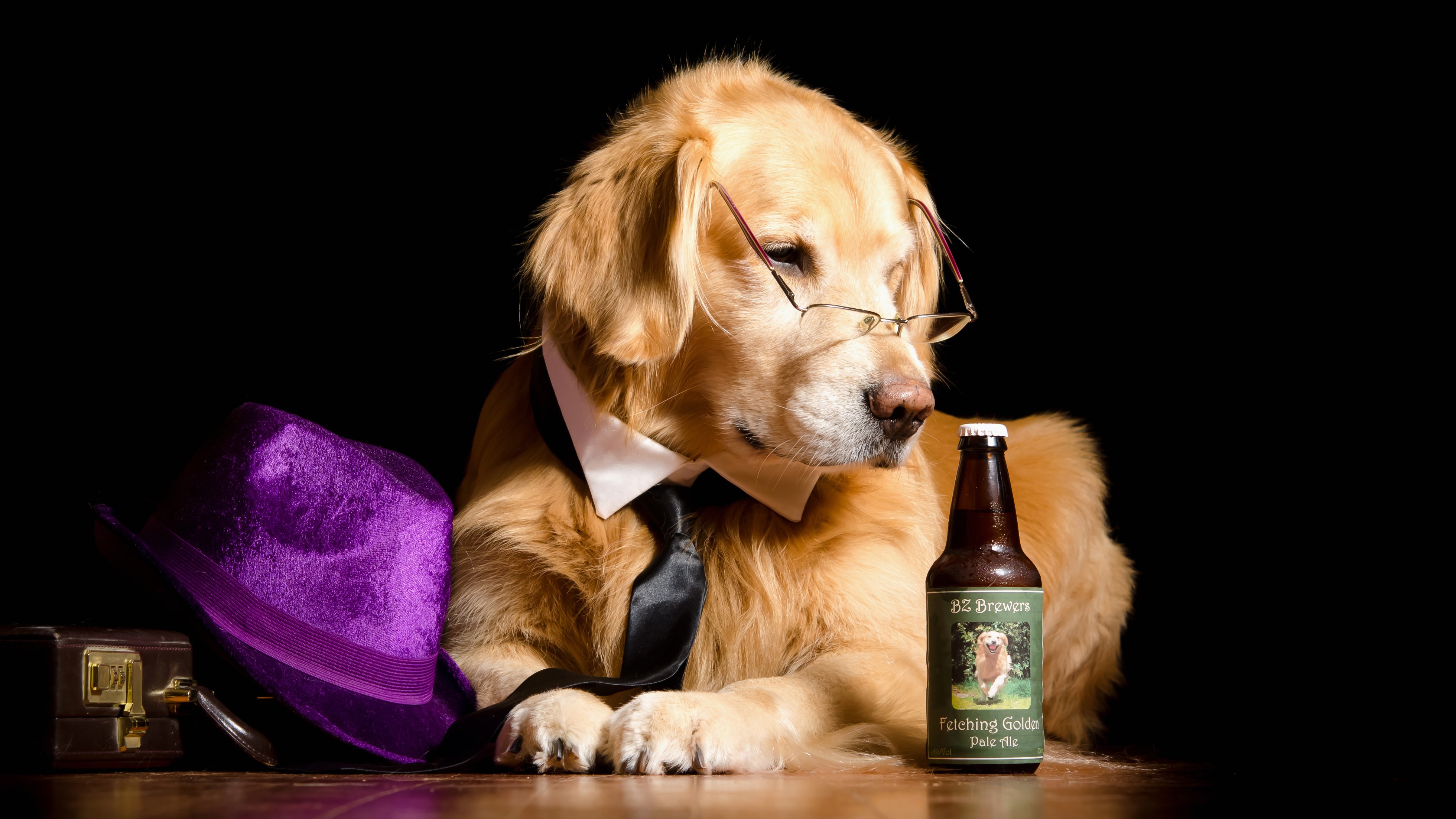 dog, Retriever, Black, Background, Hat, Glasses, Bottle, Animals Wallpaper