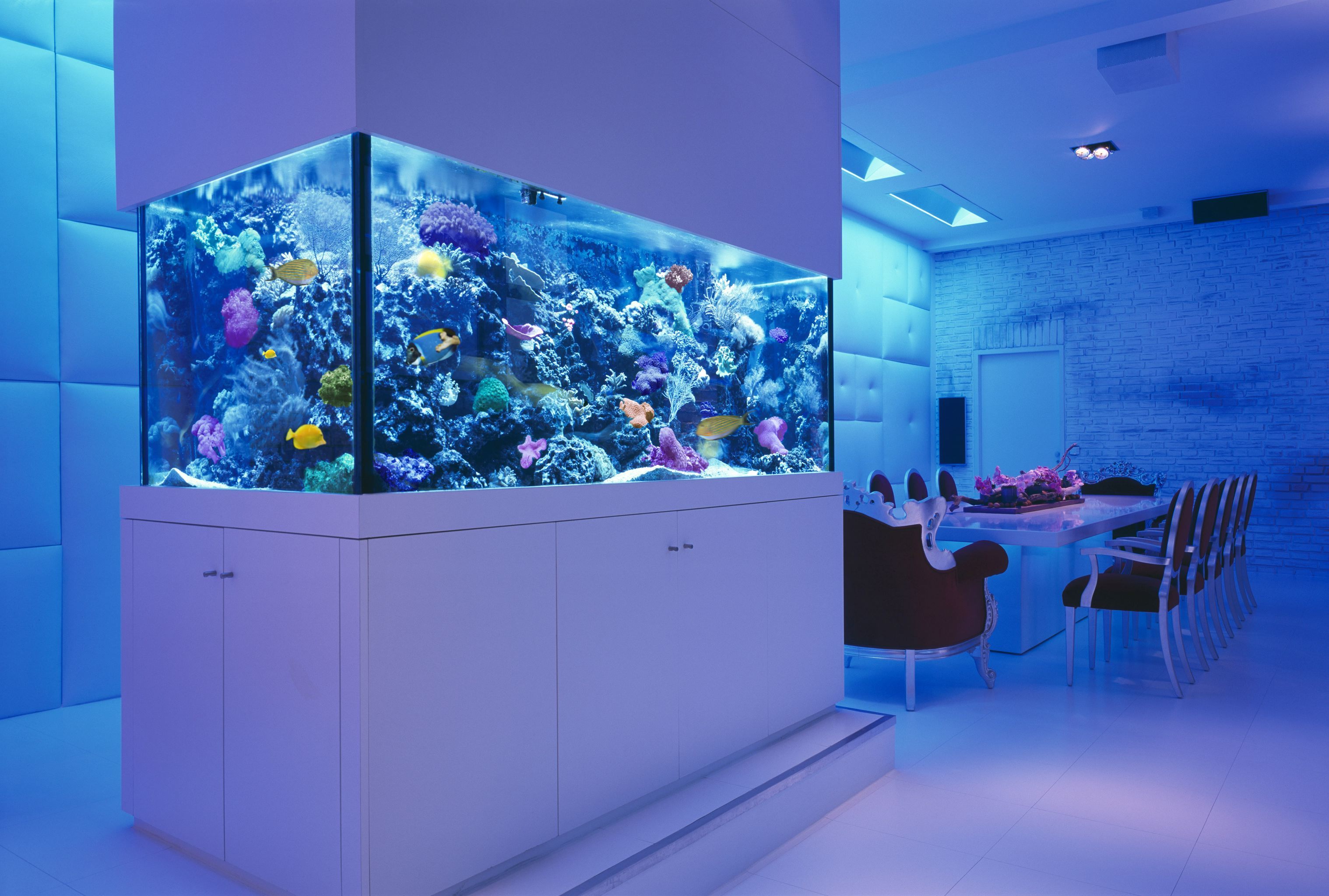 interior, Room, Table, Chairs, Sea, Aquarium, Fish, Corral, Design Wallpaper