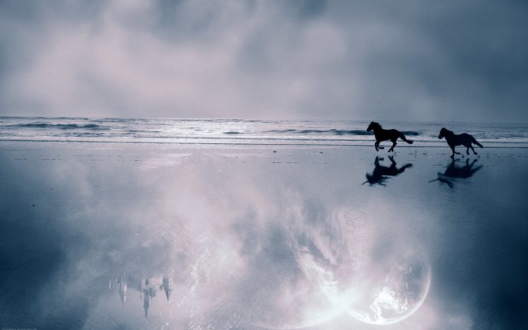 unicorn, Horse, Magical, Animal, Castle, Reflection, Beach, Ocean HD Wallpaper Desktop Background
