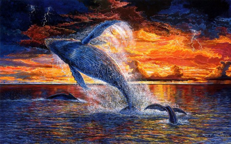 robert lyn nelson, Paintings, Artisticanimals, Whales, Colors, Fly, Flight, Flying, Sunset, Nature, Ocean, Sea, Skies, Clouds HD Wallpaper Desktop Background