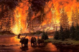 jim tschetter, Jim, Tschetter, Animals, Moose, Nature, Paintings, Artistic, Art, Landscapes, Fire, Flames, Trees, Forests, Situation