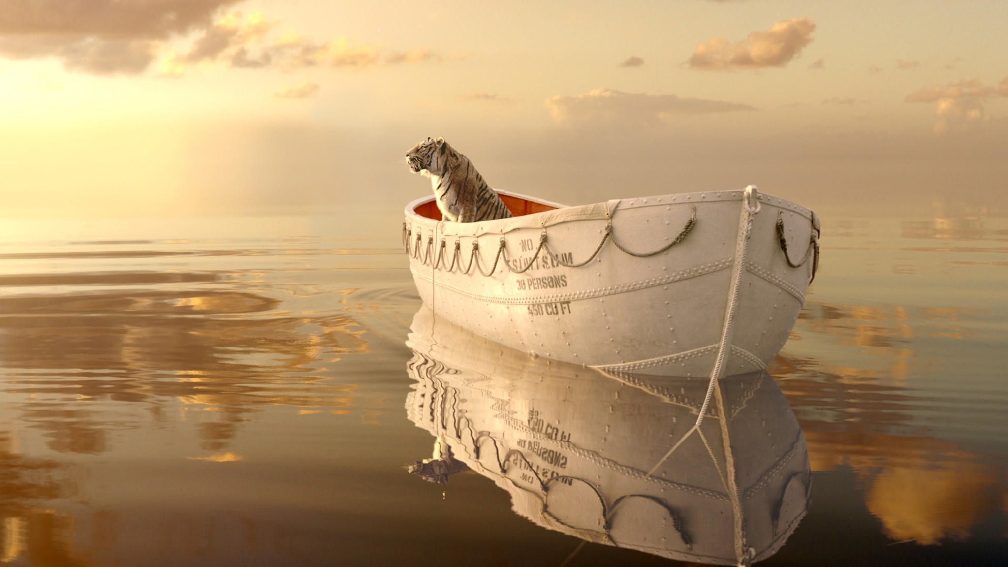 animals, Cats, Tiger, Water, Ocean, Sea, Reflection, Sky, Clouds, Boats, Vehicle, Rope, Mood, Surreal, Manipulation, Cg, Digital, Scenic, Wierd, Psychedelic Wallpaper