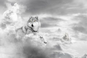 animals, Wolf, Wolves, Fur, Face, Clouds, Sky, Fantasy, Cg, Digital, Art, Castle, Dream, Surreal, Psychedelic, Mystical, Mythical, Moon, Sun, Light