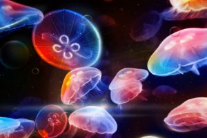 animals, Fishes, Jellyfish, Underwater, Bubbles, Color, Bright, Psychedelic, Ocean, Sea, Water, Manipulation, Cg, Digital, Art, Sealife, Life