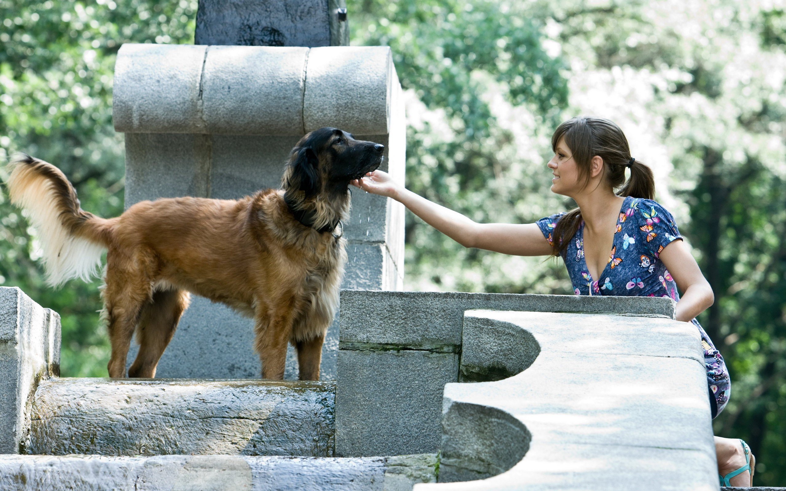 brunettes, Women, Models, Dogs, Outdoors, Ponytails, Blue, Dress, Natural, Lighting Wallpaper