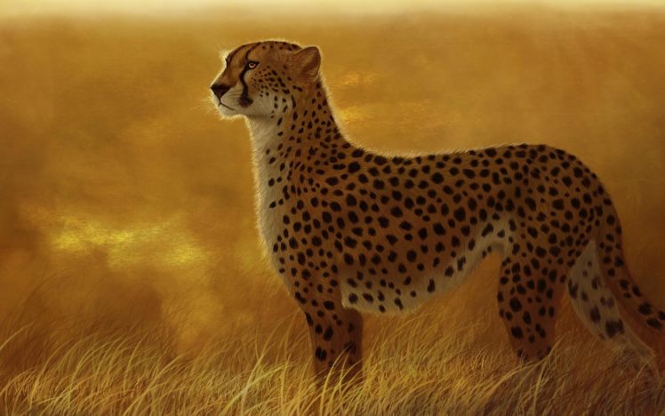 cheetah, Animals, Cats, Art, Artistic, Paintings, Africa, Landscapes, Nature, Wildlife, Predator, Spots, Pattern, Sunset, Sunrise, Grass, Fields HD Wallpaper Desktop Background