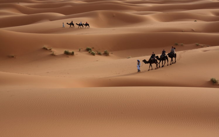 nature, Landscapes, Desert, Dune, Sand, People, Travel, Photography, Plants HD Wallpaper Desktop Background