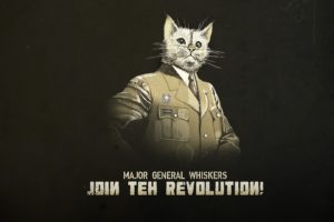 animals, Cats, Humor, Funny, Uniform, Statement, Whiskers, Kitten, Military, Revolution