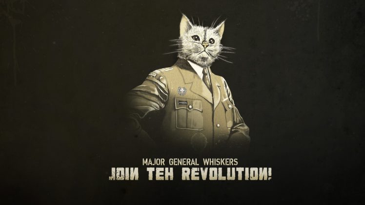 animals, Cats, Humor, Funny, Uniform, Statement, Whiskers, Kitten, Military, Revolution HD Wallpaper Desktop Background