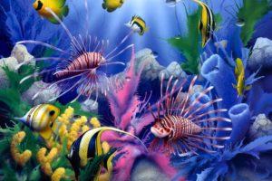 lions, Of, The, Sea, David, Miller, Painting, Art, Animals, Fishes, Tropical, Sealife, Life, Color, Underwater, Coral, Reef, Ocean, Sea, Sunlight