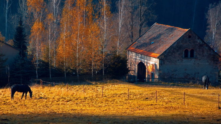 horses, Rustic, Farm, Barn, Landscapes, Buildings, Autumn, Fall, Trees HD Wallpaper Desktop Background