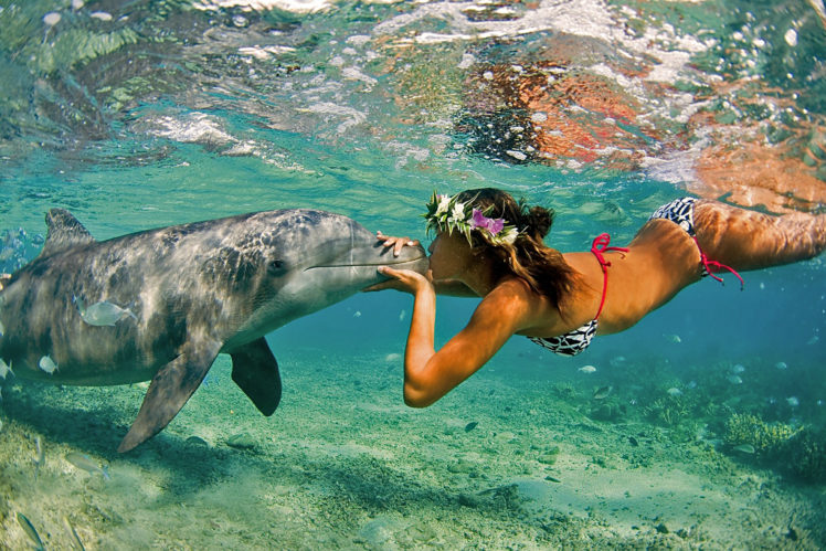 dolphin, Girl, Ocean, Sea, Nature, Summer, Kiss, Women, Females, Girls, Bikini, Ocean HD Wallpaper Desktop Background
