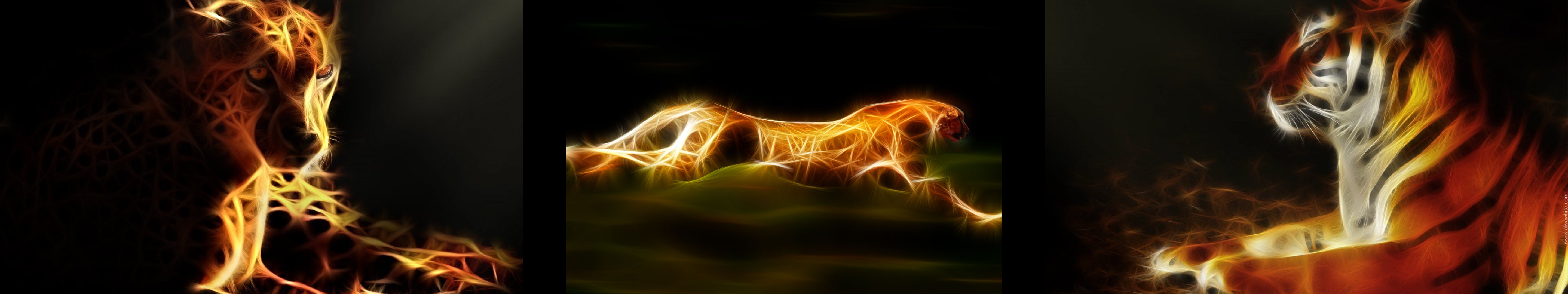 wallpaper, Triple, Multi, Multiple, Screen, Monitor, Animal, Light, Guepard, Cheetah, Tiger, Leopard Wallpaper