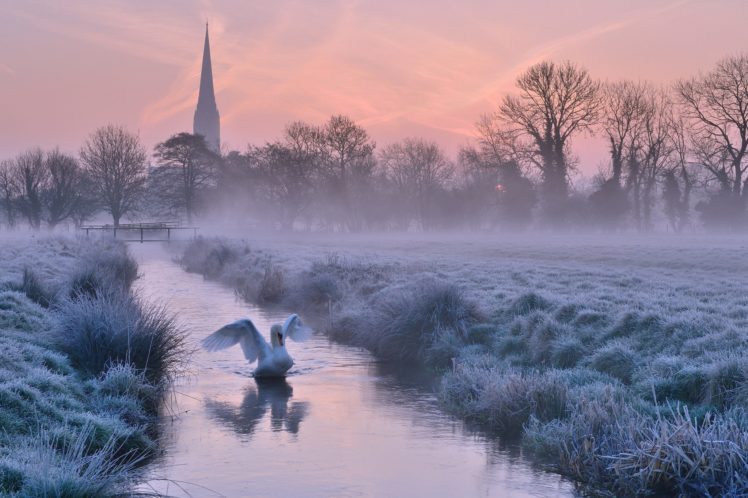 salisbury, England, Salisbury, England, River, River, Swan, Bird, Morning, Dawn, Fog, Frost HD Wallpaper Desktop Background