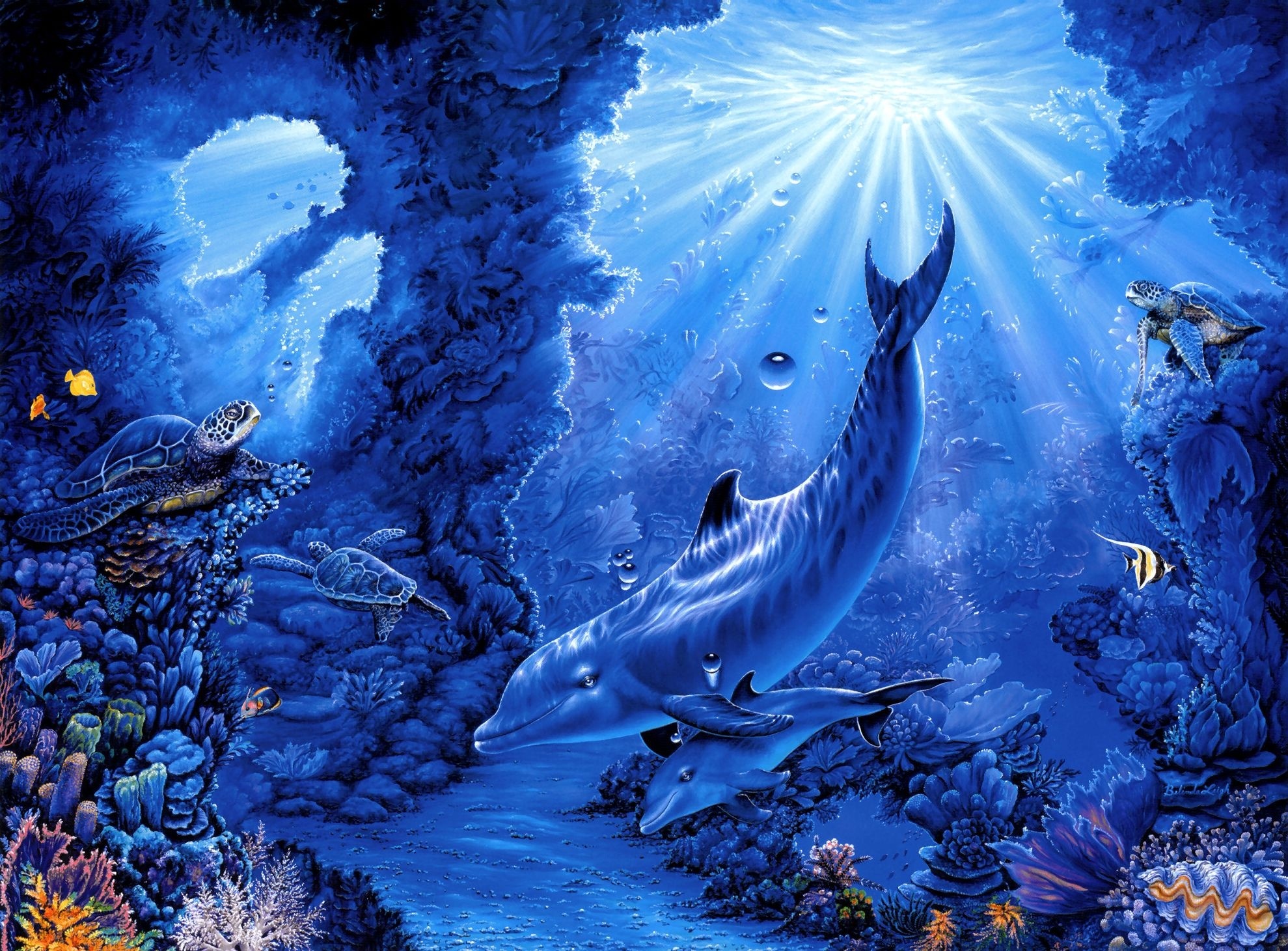 belinda, Leigh, Seabed, Turtles, Fish, Corals, Rays, Art, Dolphins, Dolphin, Sea, Ocean, Underwater Wallpaper