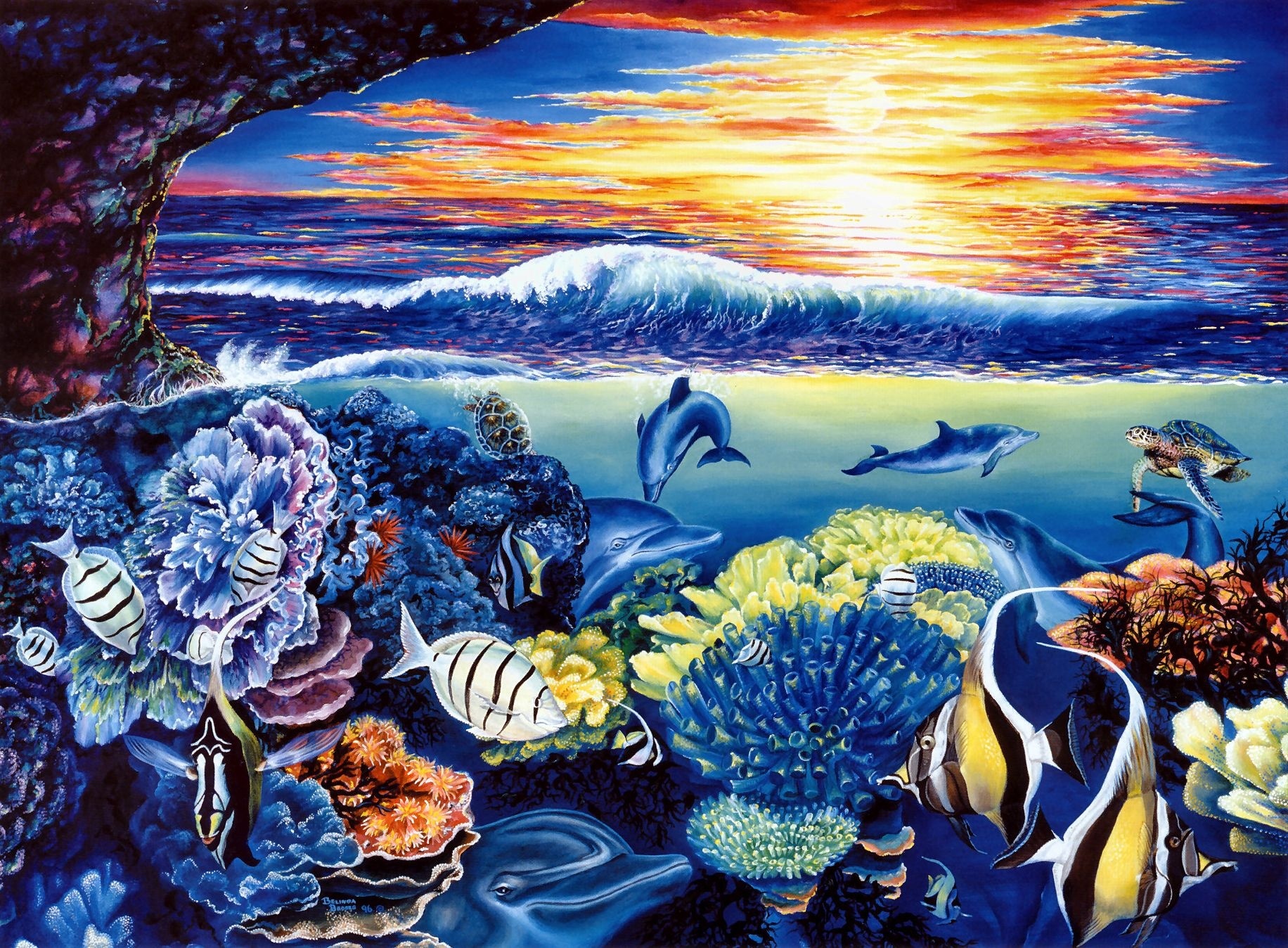 dolphins, Dolphin, Ocea, Sea, Underwater, Belinda, Leigh, Dolphins, Fish, Corals, Sea, Sunset, Turtles, Art Wallpaper