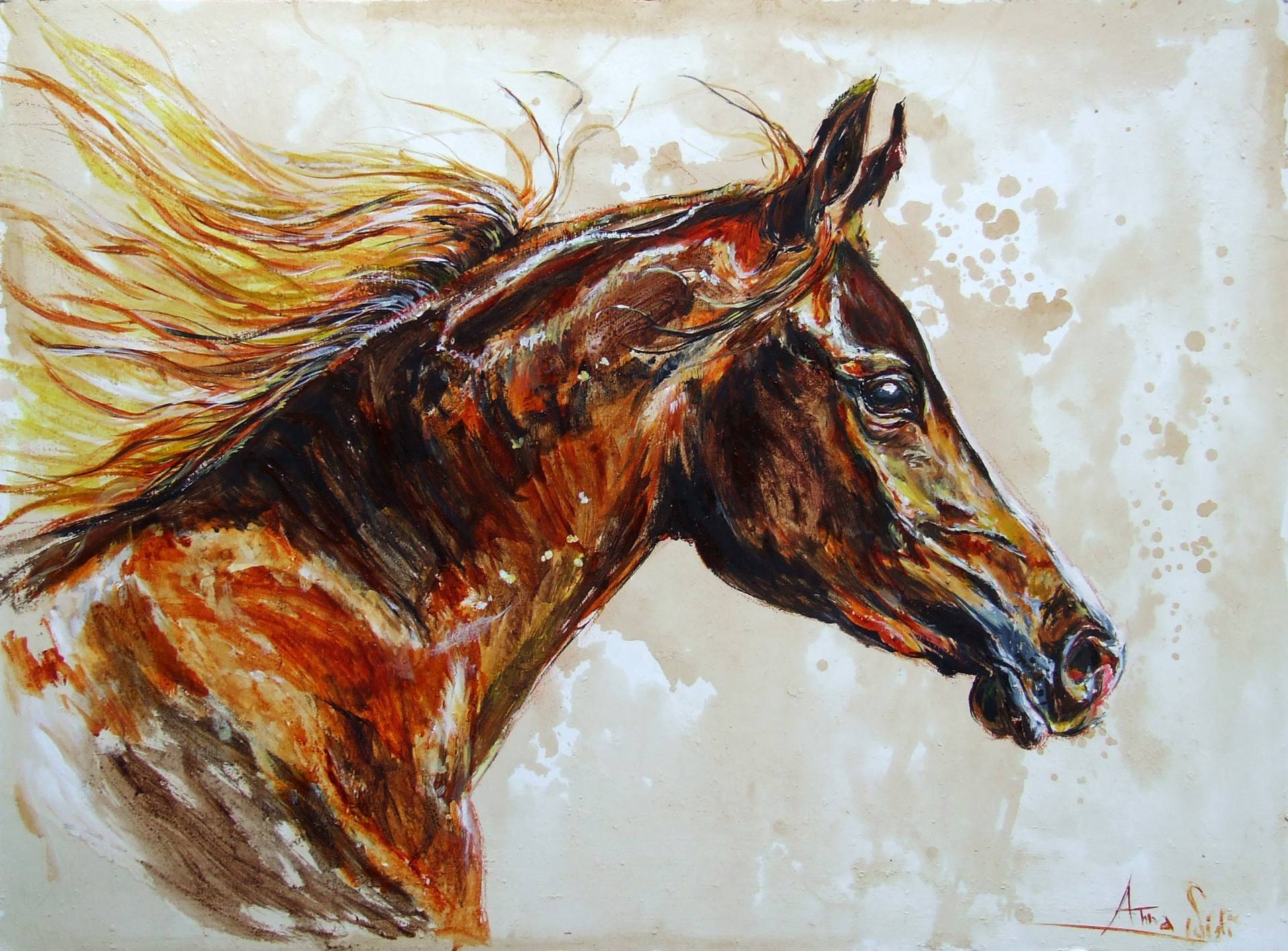 beauty, Art, Artist, Anna, Sidi yacoub, Painting, And039free, Arabian, Horseand039 Wallpaper