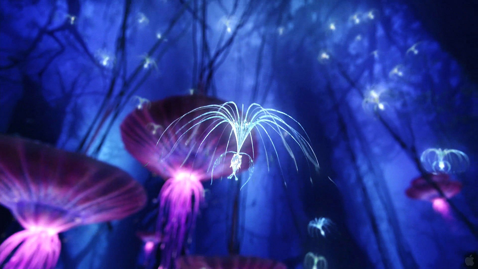 avatar, Fantasy, Action, Adventure, Sci fi, Futuristic, Alien, Aliens, Warrior, Fighting Wallpaper