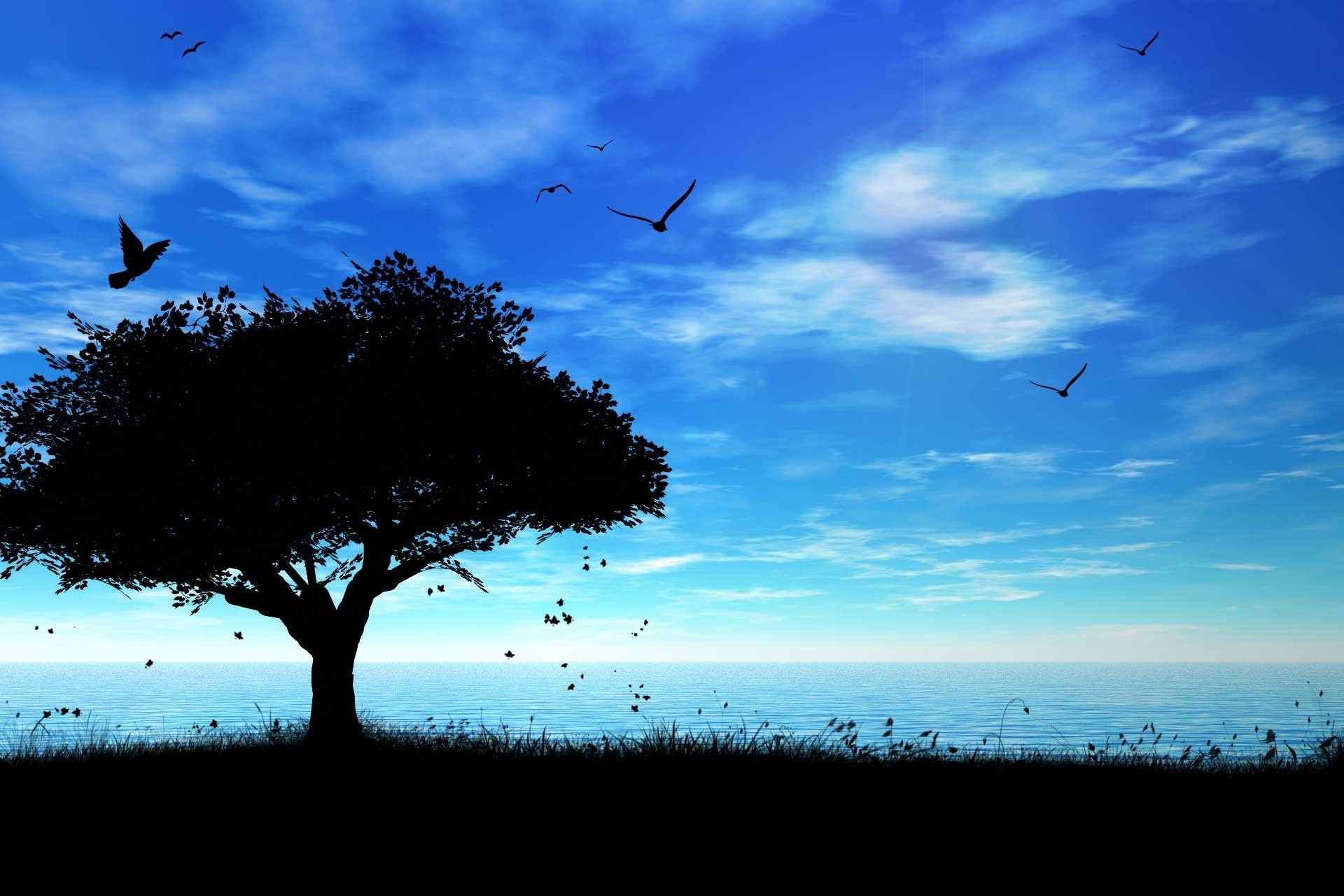 birds, Sky, Tree, Shadow, Sea, Mood, Bokeh Wallpaper