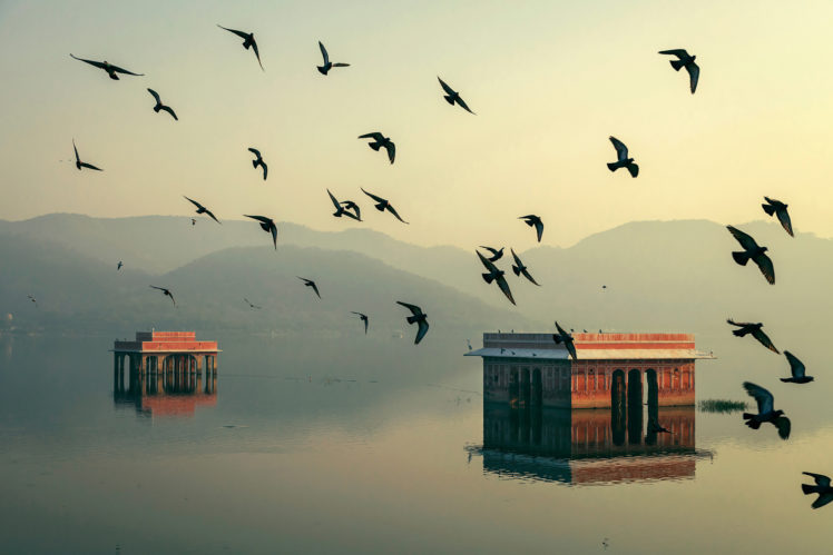 rajasthan, Home, India, Jaipur, Mahesh, B, Photography, Water, Birds, Morning, Bokeh HD Wallpaper Desktop Background