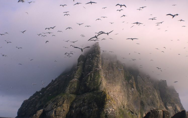 mountains, Nature, Birds, Fog HD Wallpaper Desktop Background