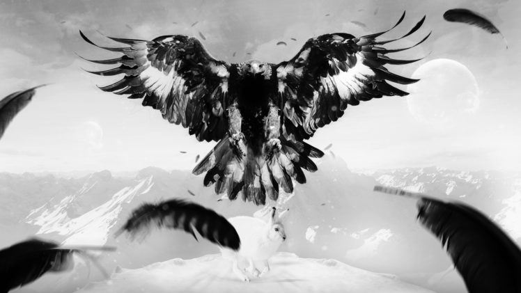 eagle, Hare, Art, Bird, Feathers, Mountains HD Wallpaper Desktop Background