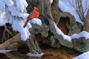 painting, Snow, Winter, Tree, Bird, Cardinal