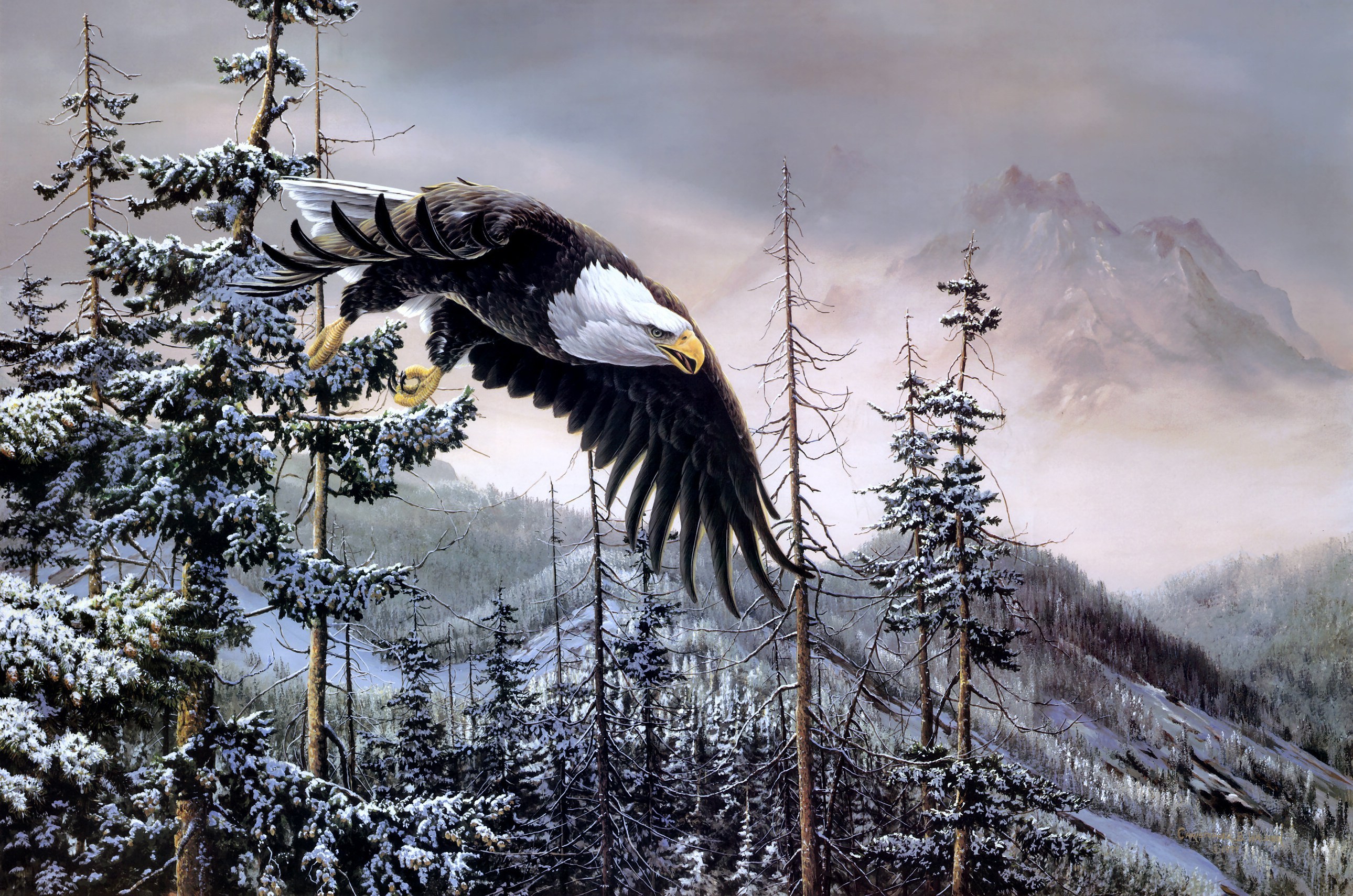 art, Eagle, Birds, Forest, Spruce, Mountain, Winter, Snow Wallpaper