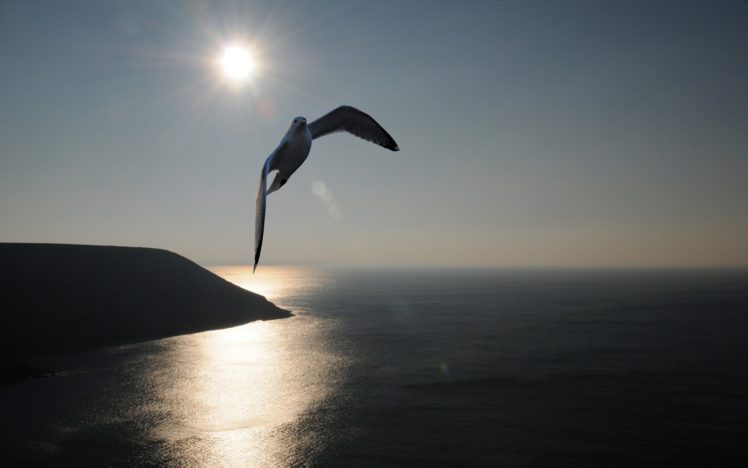 ocean, Sea, Birds, Wind, Spirit, Seagulls, Skyscapes HD Wallpaper Desktop Background