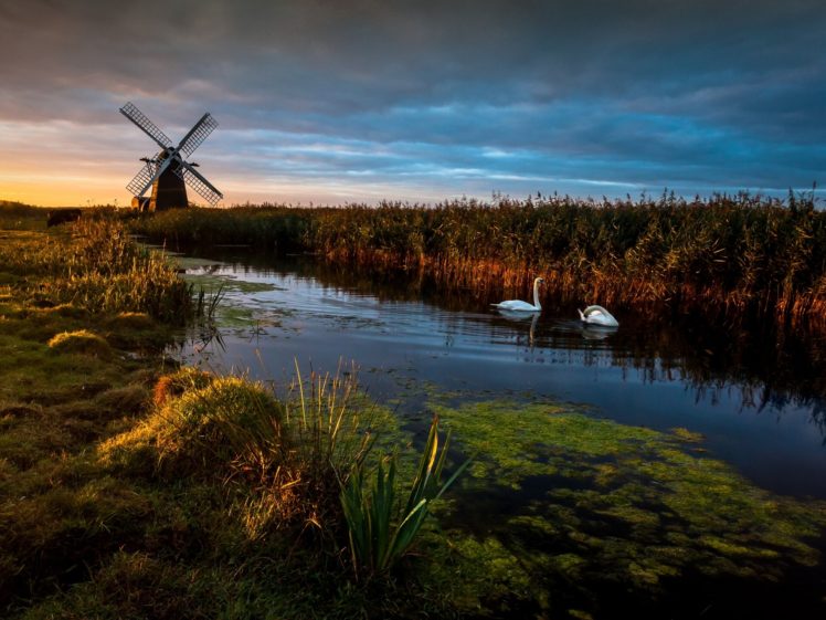 england, Mill, Swans, River, Reeds HD Wallpaper Desktop Background