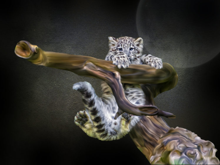 snow, Leopard, Cub, Snag, Photoshop HD Wallpaper Desktop Background