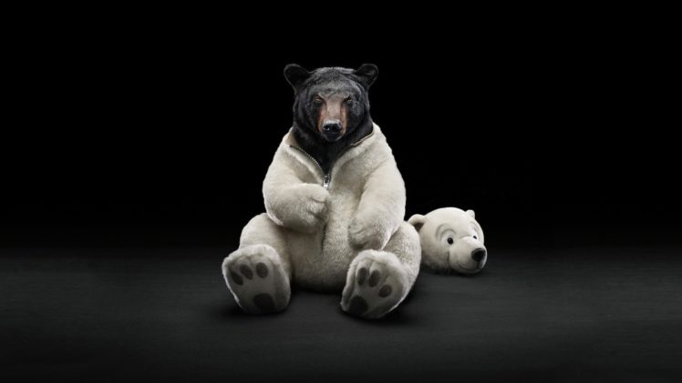 funny, Bears HD Wallpaper Desktop Background