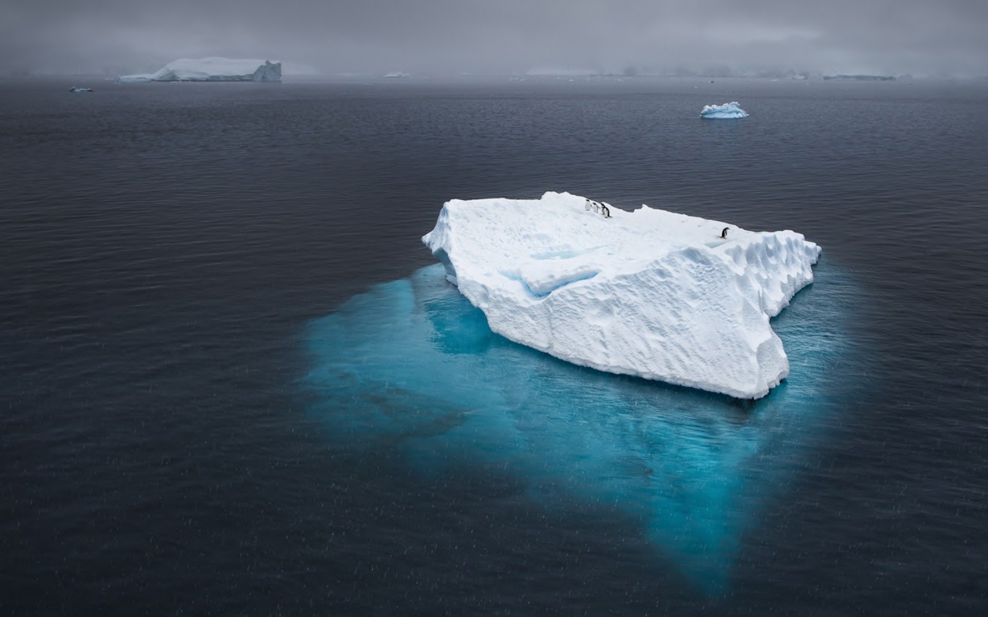 iceberg, Ocean, Penguins, Antarctica Wallpaper