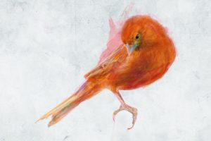 paintings, Nature, Birds