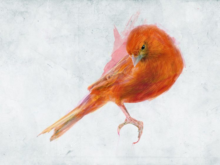 paintings, Nature, Birds HD Wallpaper Desktop Background