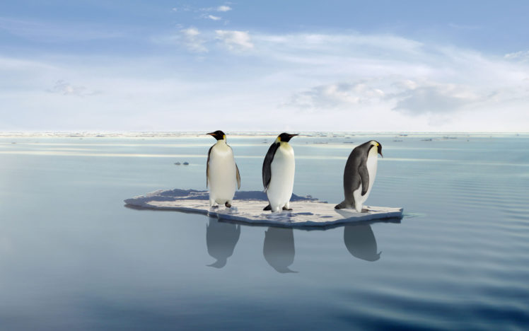 penguins HD Wallpaper Desktop Background