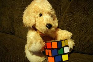 couch, Dogs, Puppies, Stuffed, Animals, Rubiks, Cube