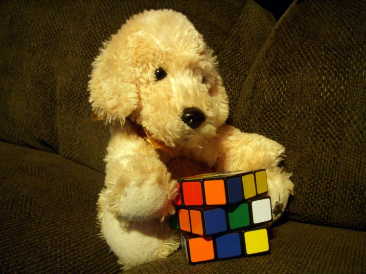 couch, Dogs, Puppies, Stuffed, Animals, Rubiks, Cube HD Wallpaper Desktop Background