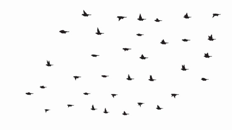 flock, Of, Birds, Sky, Bokeh,  24 HD Wallpaper Desktop Background
