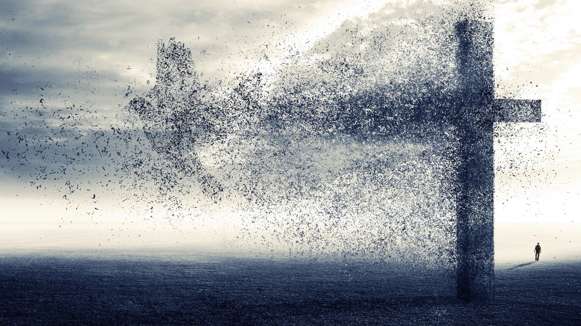 cross, Flying, Birds, Fields, Men, Fly, Air Wallpaper