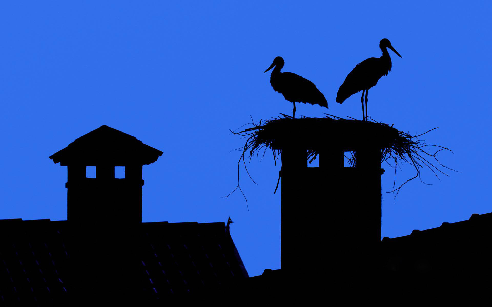 sky, City, Roof, Chimney, Stork Wallpaper