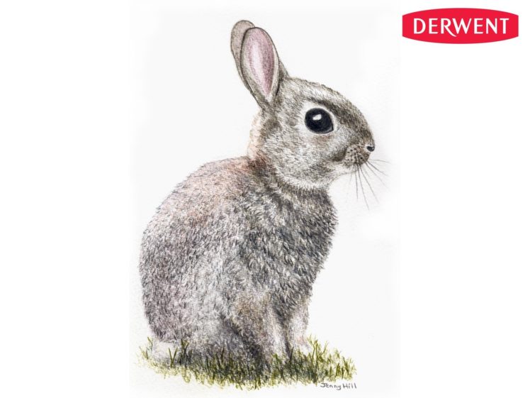 baby, Rabbits, Artwork, Jenny HD Wallpaper Desktop Background