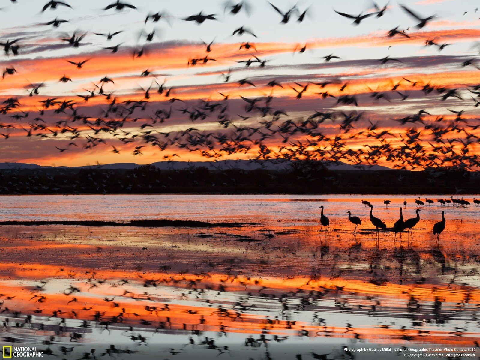 mountains, Landscapes, Nature, Birds, Animals, National, Geographic, Hdr, Photography Wallpaper